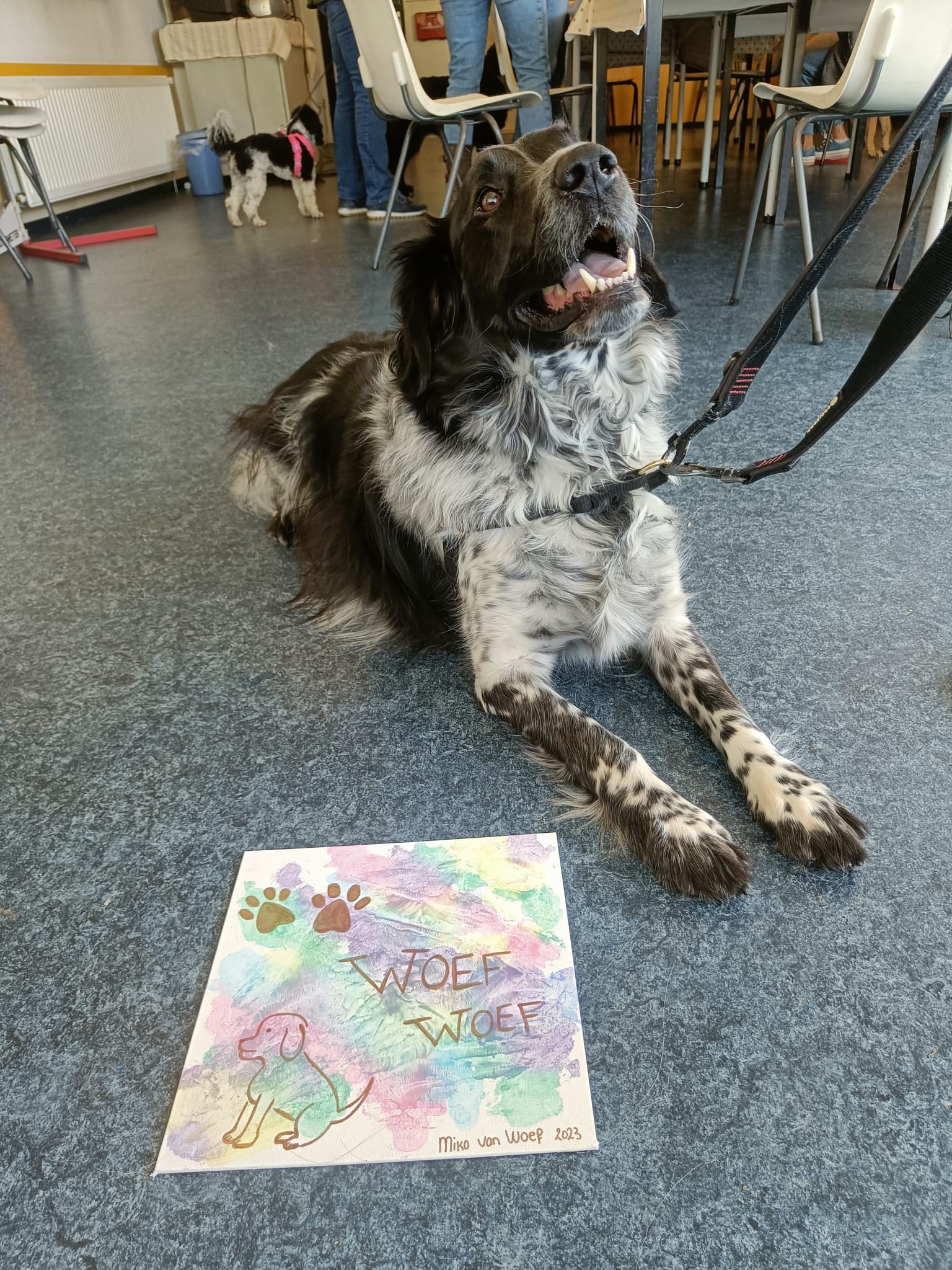 Workshop schilderen met je hond.